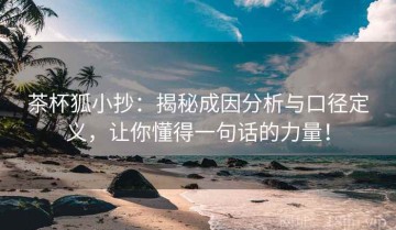 茶杯狐小抄：揭秘成因分析与口径定义，让你懂得一句话的力量！