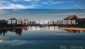 茶杯狐小抄：从证据链到问题提炼，读懂每一个细节