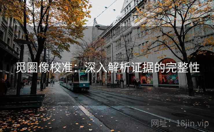 觅圈像校准：深入解析证据的完整性
